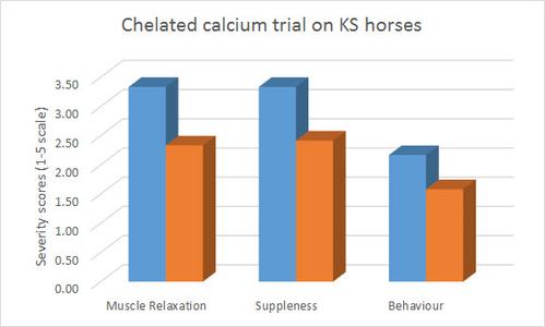 chelated-calcium-kissing-spine-trial.jpg