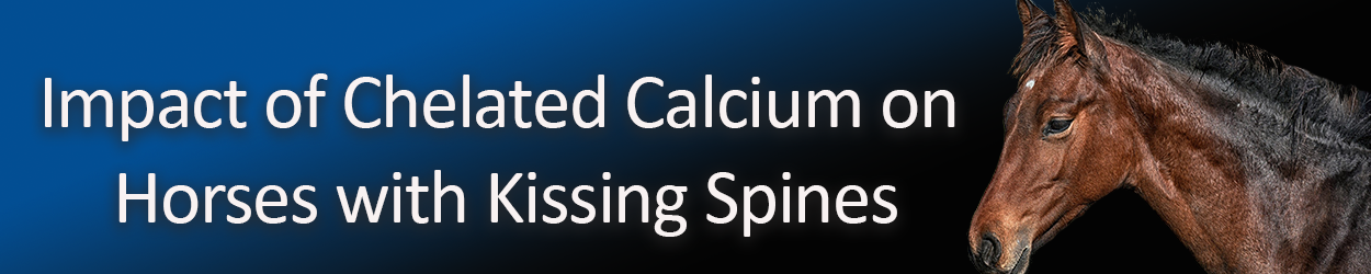 impact-of-chelated-calcium-on-horses-with-kissing-spines.png