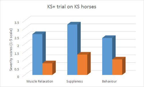 trial-on-kissing-spine-horses.jpg