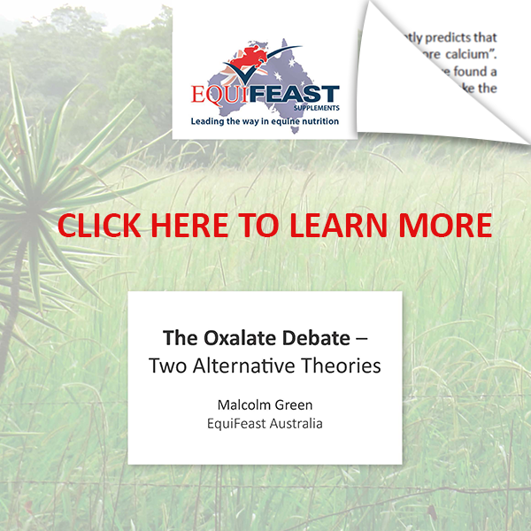 the-oxalate-debate-web-graphic-2.png