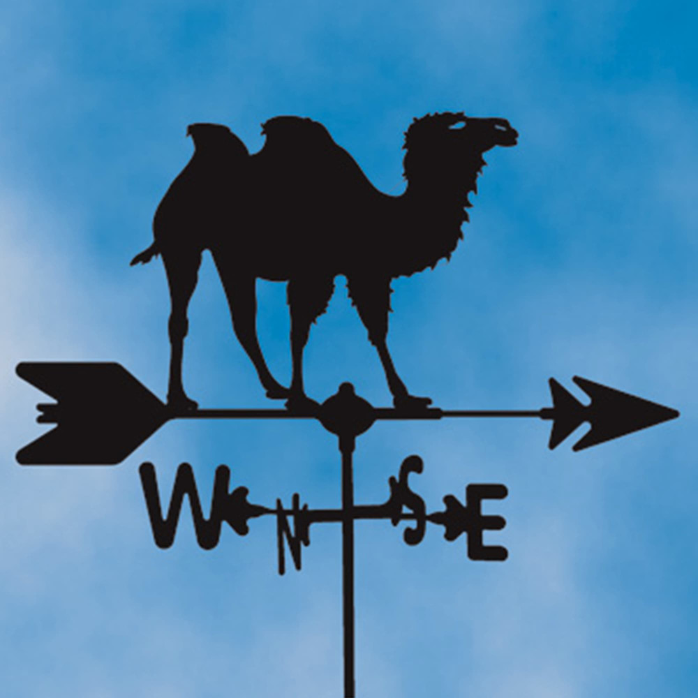 Two Hump Camel Silhouette Steel Weathervane