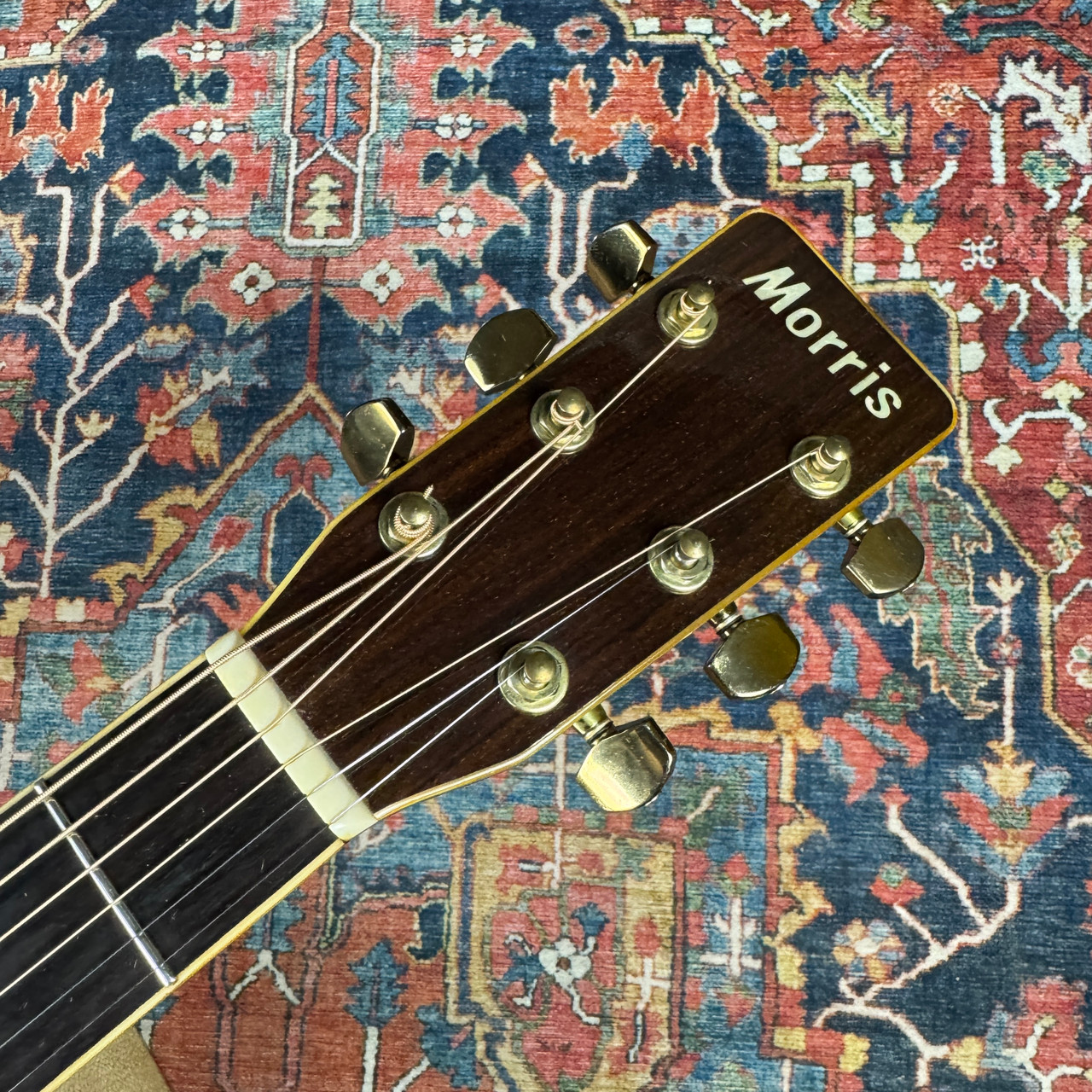 Morris MV701 Vanguard Solid Top Sunburst Wide Nut Made in Japan 