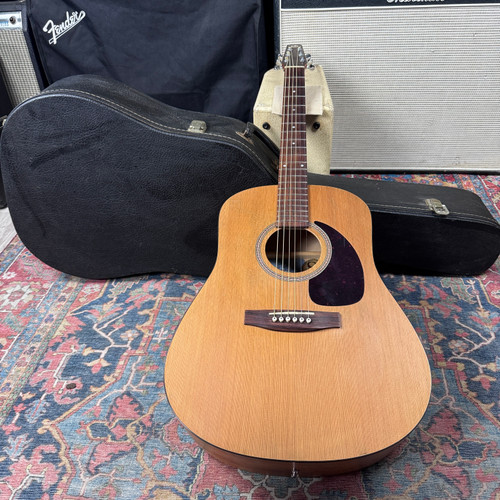 Seagull by Godin S6 Cedar Top Hard Case Pro Setup - 2026