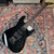 1986 Charvel Model 4 Super Strat by Jackson/Charvel - Black
