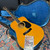 Morris D41 Style X-Braced Dreadnought  Model W40 MIJ - 1975