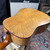 Seagull S6 Dreadnought Solid Cedar Top Wide Nut - 2008-2010
