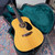 Martin D12-20 Dreadnought 12-String  - 1969