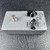 Tone Bender MK1.5 Clone Mullard OC84 Germanium Transistors