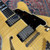 2013 D'Angelico NYSS 3BFM Custom Semi Hollow Body Flame Maple