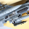 1/48 Lockheed F-16C Falcon ANG (BLOCK 25/32) - 61101