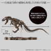 1/32 - Bandai Spirits Imaginary Skeleton - Tyrannosaurus T-Rex