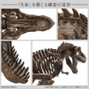 1/32 - Bandai Spirits Imaginary Skeleton - Tyrannosaurus T-Rex