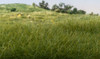12mm Static Grass: Dark Green - FS625