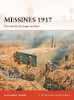 CAM225 - Messines 1917