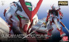 RG #019 MBF-P02 GUNDAM ASTRAY RED FRAME