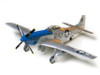 1/48 P51D MUSTANG - 61040