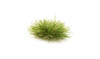 FS771 - Medium Green Grass Tufts