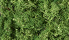L163 - Lichen Medium Green