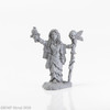 04020 - Dark Heaven Legends:  ReaperCon 2020 Hellrunners - Dark Heaven Legends:  Raza Twinsight, Hex Witch