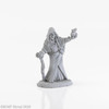 04023 - Dark Heaven Legends:  ReaperCon 2020 Brinewind Townsfolk: Fruit Lady