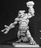 03407 - Dark Heaven Legends:  Hellborn Troll