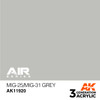 3G Air 120 - MiG-25/MiG-31 Grey - AK11920