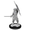 Nolzur's Marvelous Miniatures - Male Human Fighter (W13)