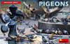1/35 Pigeons - MIA38036