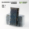 GGRFSBLU - Grass Tufts: Flowers- Bluebeard Flowers