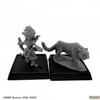 89110 - Pathfinder Bones: Lini and Droogami, Iconic Gnome Druid (2e)
