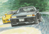 1/24 Initial D, Skyline GT-R V specII (BNR32) Takeshi Nakazato