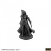 44240 - Bones Black: Tara the Silent Human Rogue