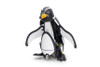 [PREORDER] Walking & Swimming Penguin