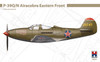 1/48 Bell P-39Q/N Airacobra Eastern Front