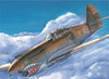 1/72 P-40B/C Warhawk - 01632
