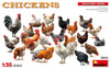 1/35 Chickens