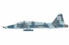 1/72 AT-38B "LIFT Trainer" 63-8172, 479 TTW, USAF, 1980s (w/SUU-11B gun  pod)