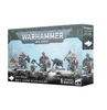 GW53-29 SPACE WOLVES: Wolf Guard Headtakers