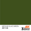 3G 148 -  Medium Olive Green - AK11148