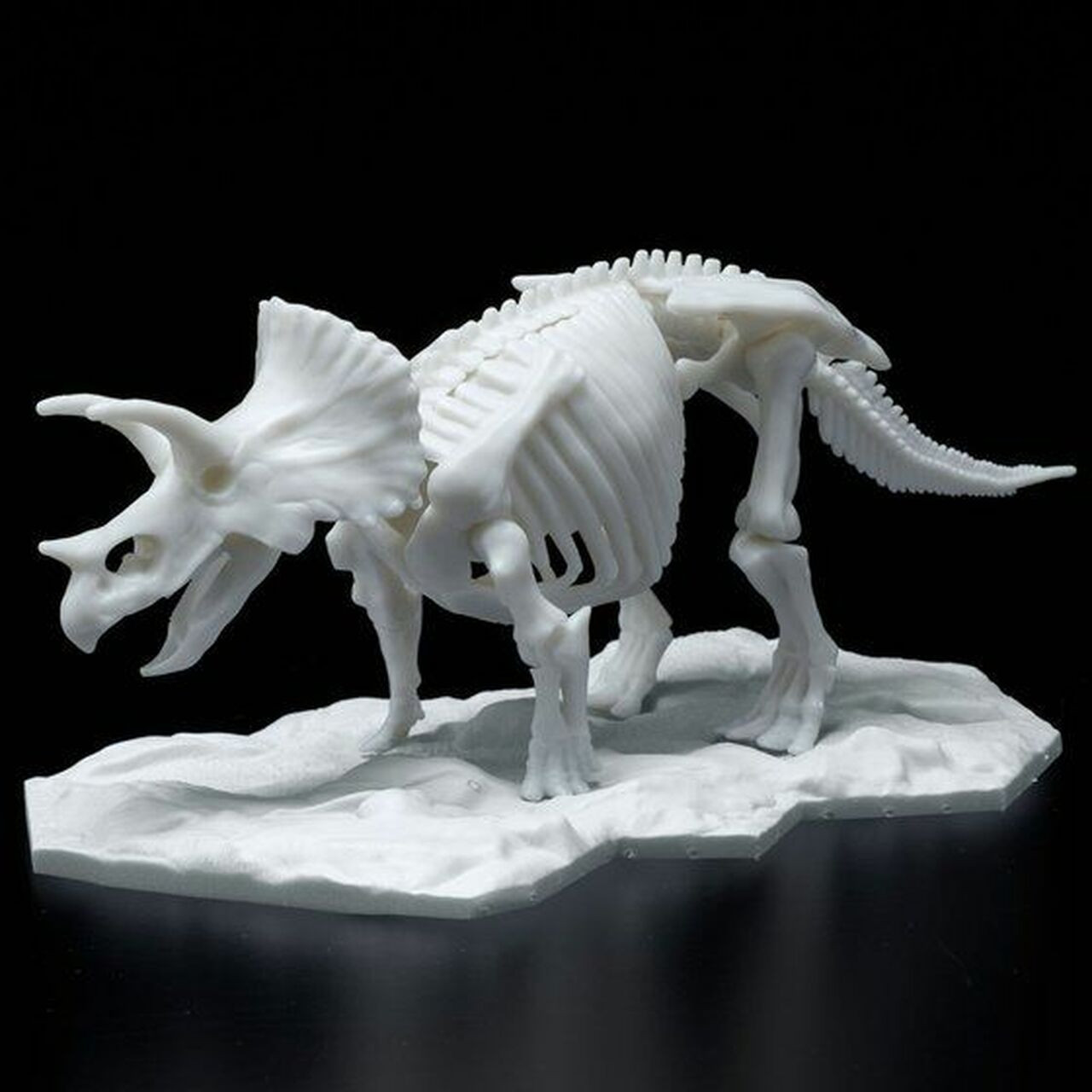 Dinosaur Limex Skeleton: Triceratops - Brookhurst Hobbies