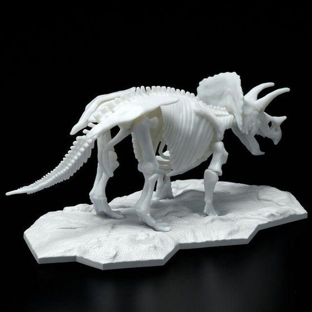 Dinosaur Limex Skeleton: Triceratops - Brookhurst Hobbies