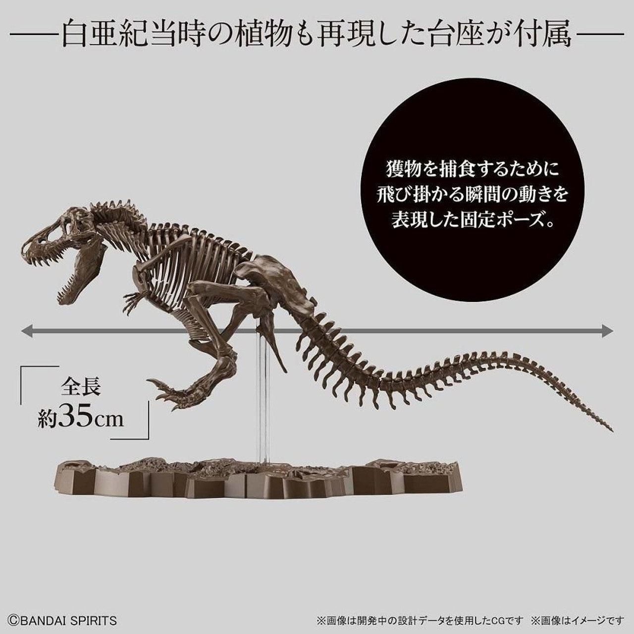 生き物・恐竜 BANDAI Imaginary Skeleton Tyrannosaurus 1/32 - Bandai Spirits Imaginary Skeleton - Tyrannosaurus T