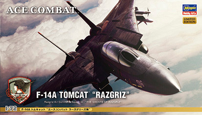 1/72 F-14A Tomcat "Ace Combat Razgriz"