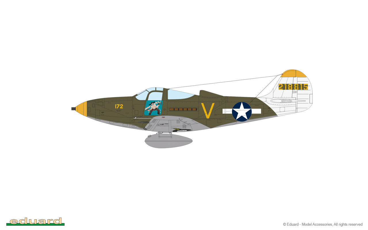 1/48 Bell P-39N Airacobra ProfiPACK edition - 8067