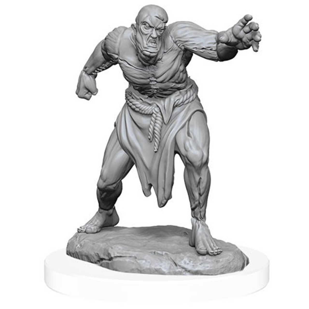 D&D Nolzur's Marvelous Unpainted Minis: W17 Flesh Golems