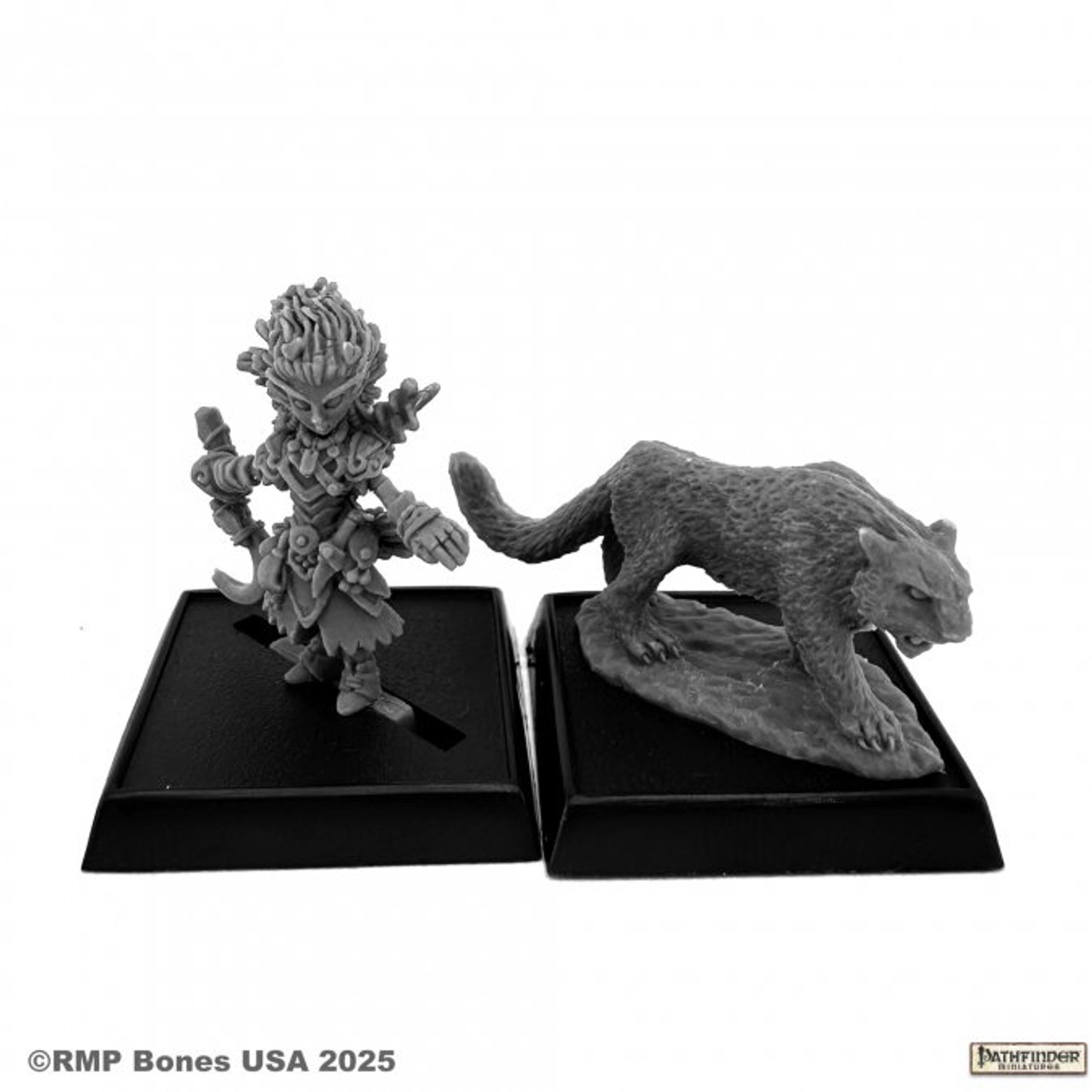 89110 - Pathfinder Bones: Lini and Droogami, Iconic Gnome Druid (2e)