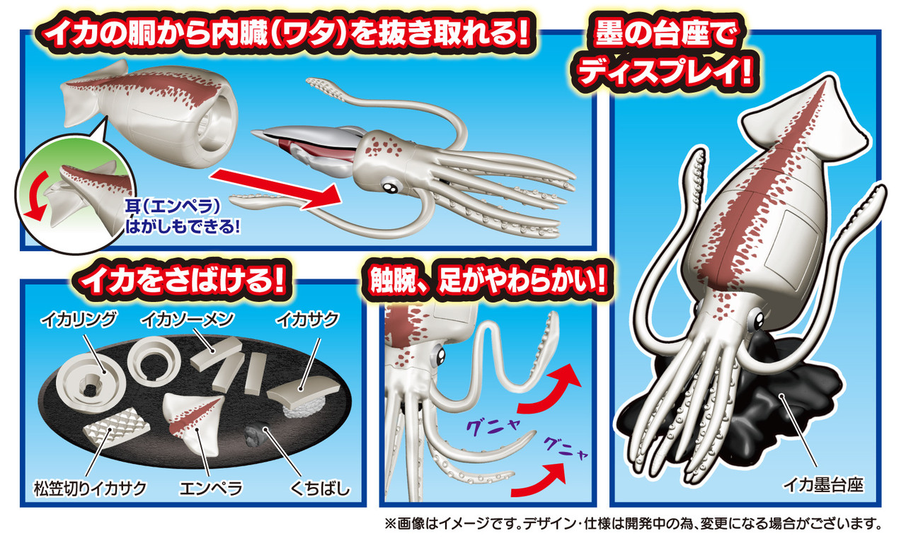 Kaitai Puzzle, Squid Puzzle
