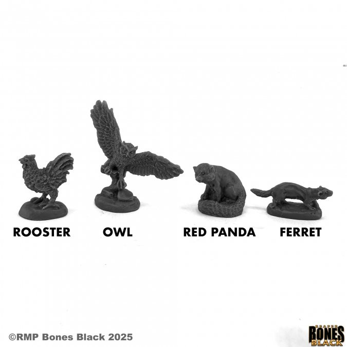 44219 - Bones Black: Familiars (4) Rooster, Owl, Ferret, Red Panda