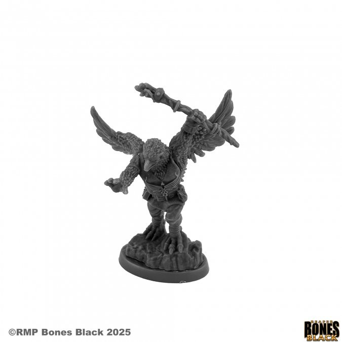 44255 - Bones Black: Raptorkin Wizard