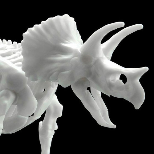 Dinosaur Limex Skeleton: Triceratops Dinosaur Limex Skeleton: Triceratops